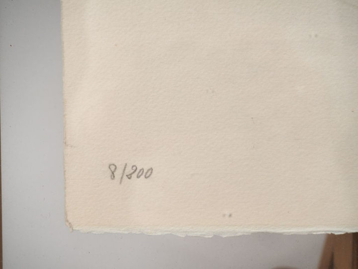 Salvador DALI.  "Jeune femme nue". Lithographie signée en bas à droite