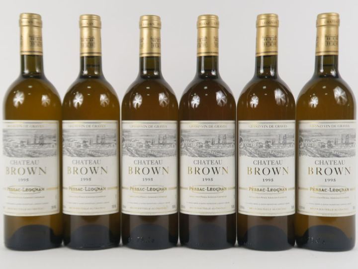 6 BOUTEILLES CHÂTEAU BROWN BLANC GRAVES - 1995 - BG