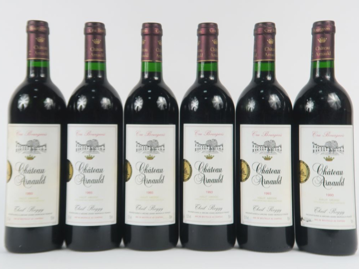 6 BOUTEILLES CHÂTEAU ARNAULD CB MEDOC - 1993 - CBO