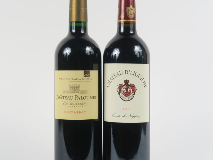 2 BOUTEILLES de 2005 : 1 CHÂTEAU D'AIGUILHE CÔTES DE CASTILLON - 1 CHÂ
