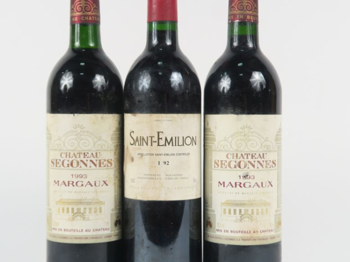 3 BOUTEILLES : 2 CHÂTEAU SEGONNES GCC MARGAUX 1993 1 BG - 1 ST EMILION