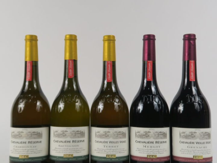 5 BOUTEILLES DOMAINE LA CHEVALIÈRE PAYS D'OC 1995 - CBO - (2 ROUGE/3 B