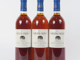 Vente aux enchères 3 BOUTEILLES DOMAINE CAUHAPÉ 'NOBLESSE DU PETIT MANSENG' JURANCON - 19