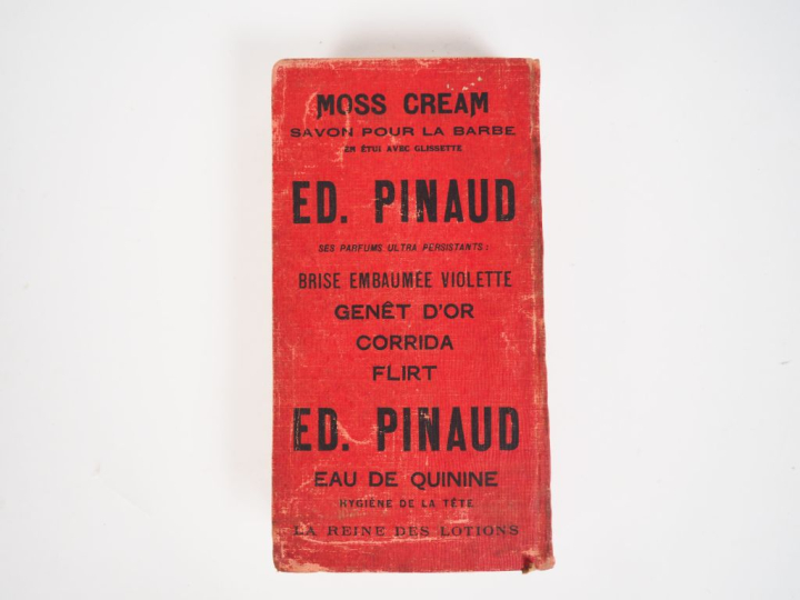 MICHELIN.  Guide rouge 1909. (accidents et frottements)