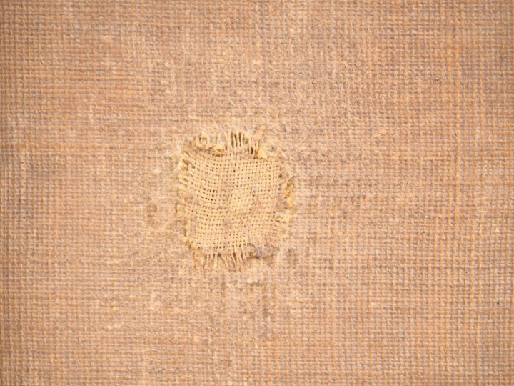 Ecole Flamande vers 1630, entourage de Paul de Vos "Cygne" Toile Haute