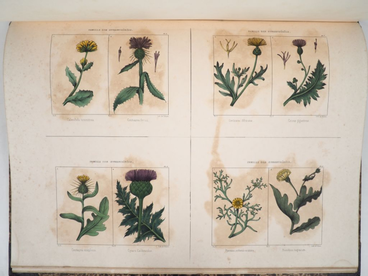 [ALGÉRIE]. BERBRUGGER (Louis-Adrien). ALGÉRIE HISTORIQUE, PITTORESQUE 