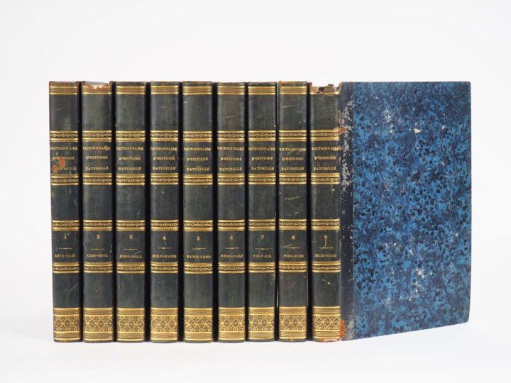 [DICTIONNAIRE]. GUÉRIN (F.-E.).	DICTIONNAIRE PITTORESQUE D’HISTOIRE NA
