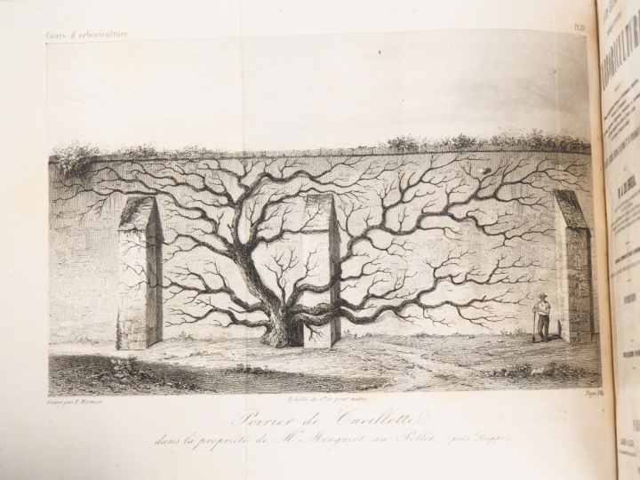 SIGAUD DE LA FOND (J.-A.). DESCRIPTION ET USAGE D’UN CABINET DE PHYSIQ