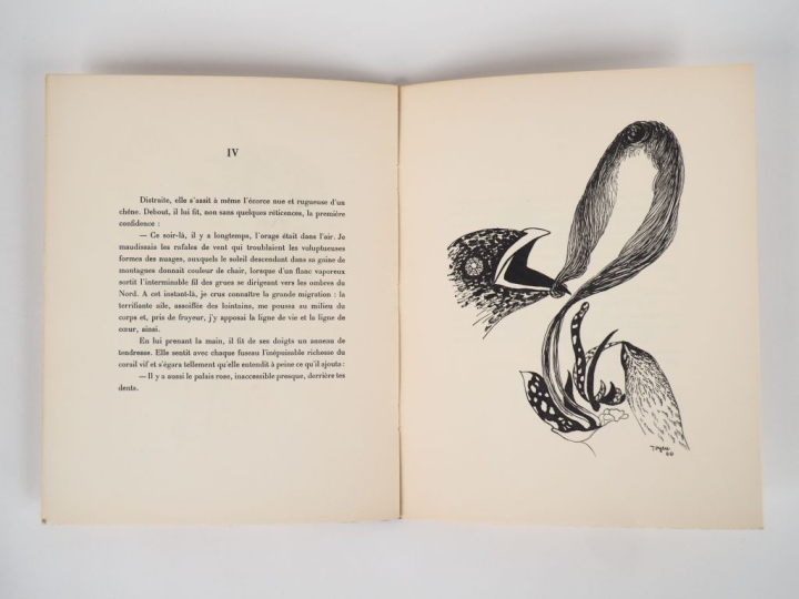 [TOYEN]. IVSIC (Radovan). LE PUITS DANS LA TOUR – DÉBRIS DE RÊVES. Cyc