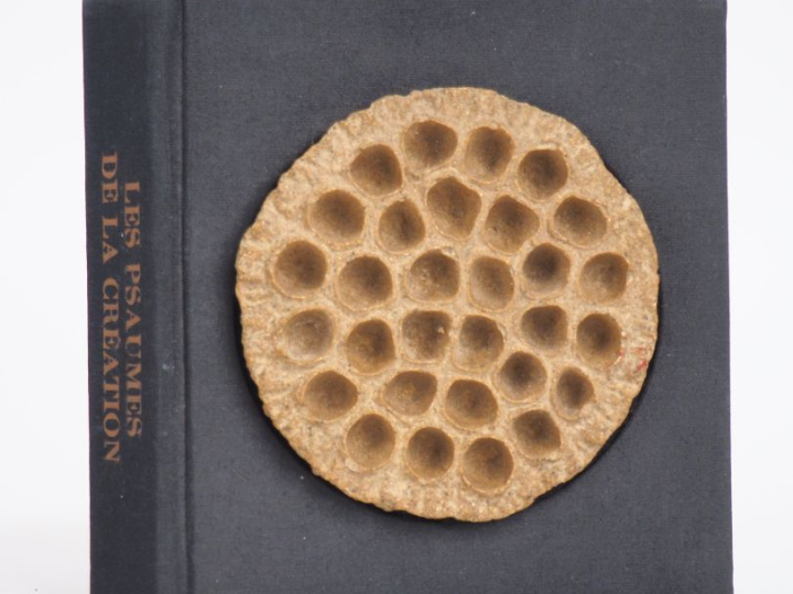 [MOREL]. ENSEMBLE DE 12 LIVRES-OBJETS édités par Robert MOREL, d’après