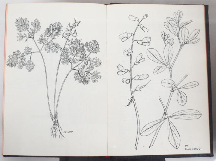 [MOREL]. ENSEMBLE DE 21 LIVRES-OBJETS édités par Robert MOREL, d’après