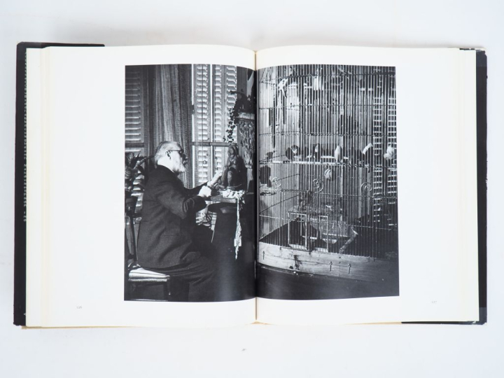 BRASSAÏ. LES ARTISTES DE MA VIE. P., Denoël, 1982. In-4 reliure toilée