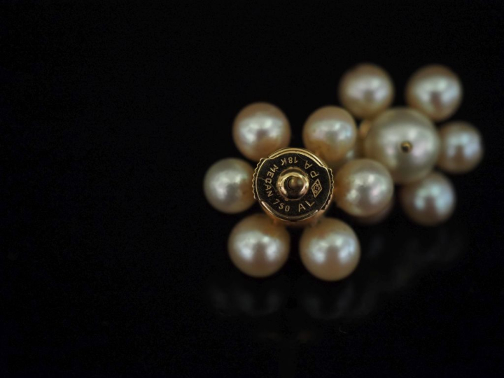 Paire de perces oreilles en forme de fleur en or jaune 750, sertis de 