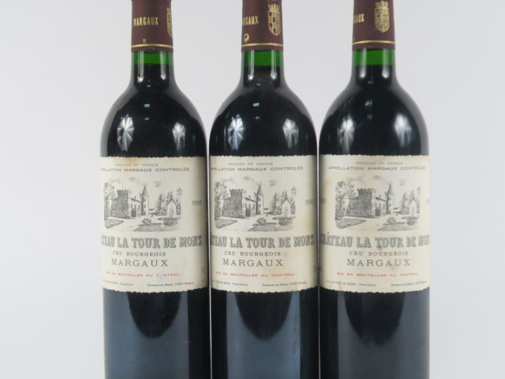 3 BOUTEILLES CHÂTEAU LA TOUR DE MONS CB MARGAUX - 1993