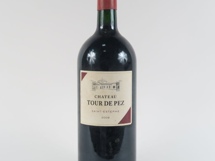 1 DOUBLE MAGNUM (3 L) CHÂTEAU LA TOUR DE PEZ ST ESTEPHE - 2009 - CBO