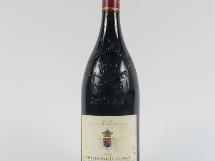 1 MAGNUM CHÂTEAUNEUF DU PAPE DOMAINE RAYMOND USSEGLIO   FILS - 2009 - 