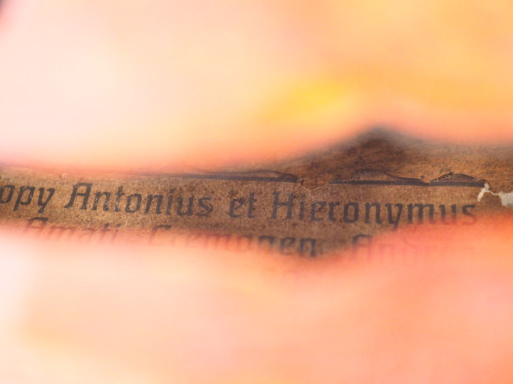 Violon	 allemand fait vers 1900	 4/4 	(bon état) Expert : Atelier Dall