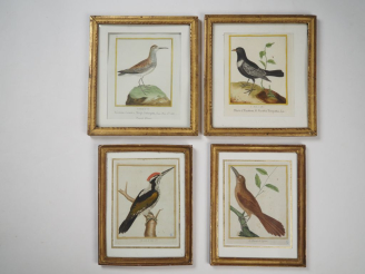 Vente aux enchères MARTINET (d'après).  8 gravures ornithologiques en couleurs. Signées.