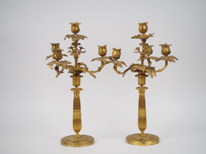 Paire de candélabres Napoléon III en bronze doré de style Louis XV à d