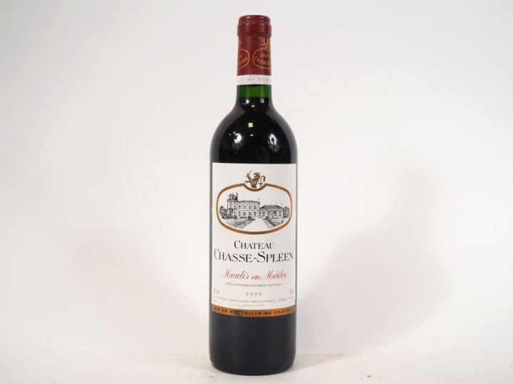 1 BOUTEILLE CHÂTEAU CHASSE SPLEEN MOULIS - 1996