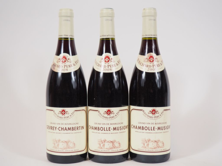 3 BOUTEILLES GEVREY CHAMBERTIN BOUCHARD PÈRE ET FILS - 2008