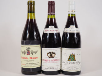 Vente aux enchères 3 BOUTEILLES : 1 CHAMBOLLE MUSIGNY VOLPATO COSTAILLE 2,5 CM/NM/CAPS AB
