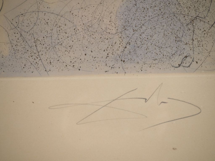 DALI.  Lithographie numérotée 109/145