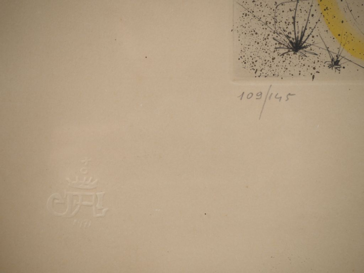 DALI.  Lithographie numérotée 109/145