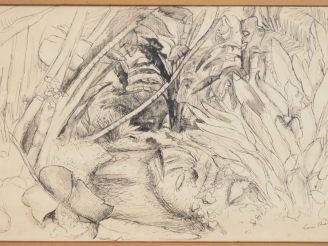 Vente aux enchères Louis RIOU.  "Bananier" Dessin, signée en bas à droite. Dim. 31,5 x 48