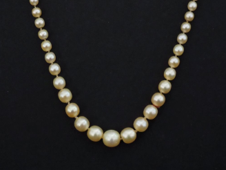 Vente aux enchères Collier de perles blanches probablement fines diposées en chute.  Ferm