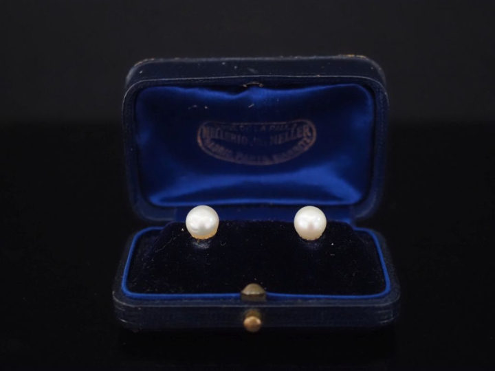 Paire de puces d'oreilles en or blanc 750, serties en leur centre d'un