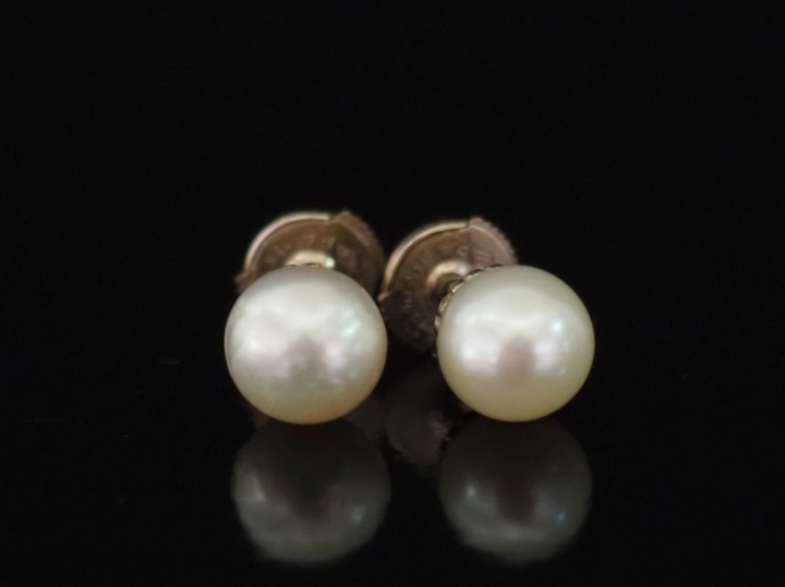 Paire de puces d'oreilles en or blanc 750, serties en leur centre d'un