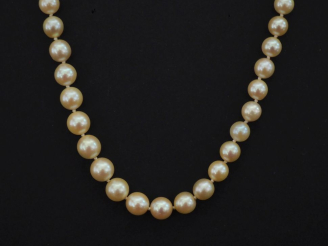 Vente aux enchères 	Sautoir de perles de culture blanches disposées en chute. Fermoir en 