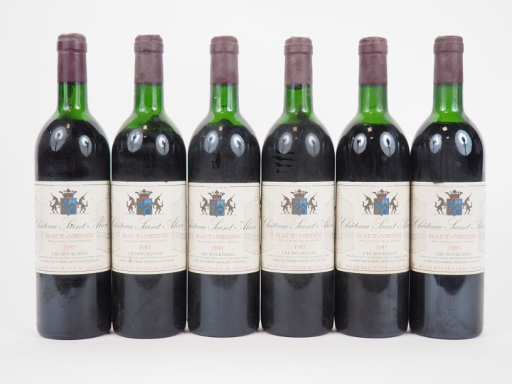 6 BOUTEILLES CHÂTEAU SAINT AHON CB HAUT MEDOC - 1985 - 1 HEP/4 MEP/1 B