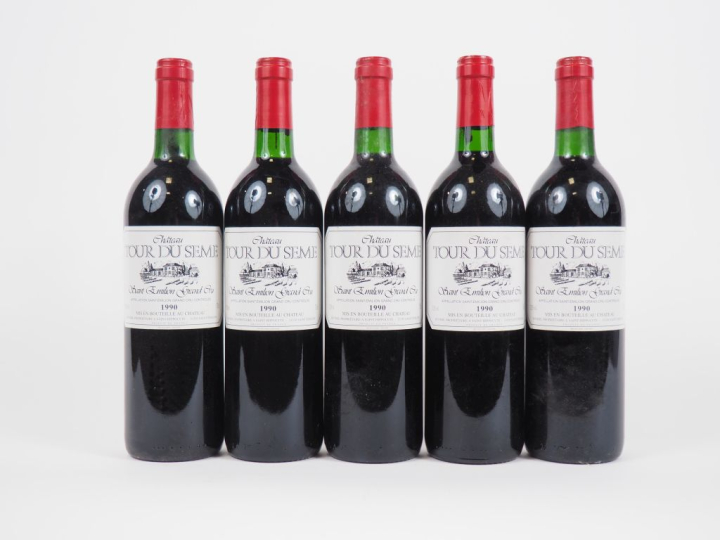 5 BOUTEILLES CHÂTEAU TOUR DU SEME GC ST EMILION - 1990 - BG