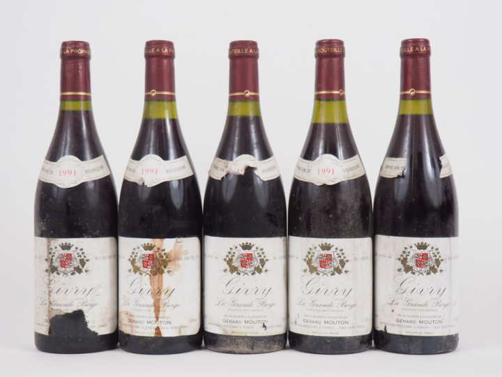 5 BOUTEILLES GIVRY "LA GRANDE BERGE" G. MOUTON  - 1991 - ETA/BS