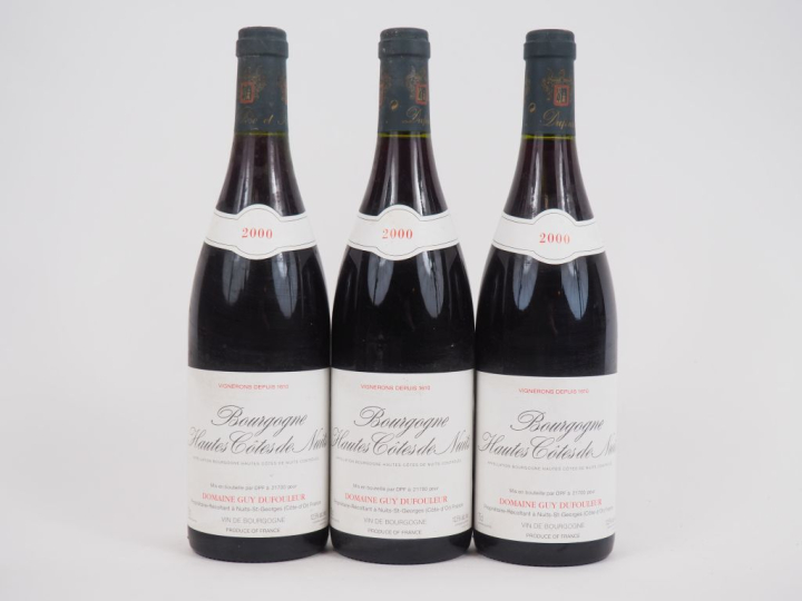 3 BOUTEILLES BOURGOGNE HAUTES COTES DE NUITS DOMAINE GUY DUFOULEUR - 2