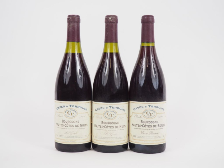 3 BOUTEILLES BOURGOGNE CAVES   TERROIRS : 2 HAUTES COTES DE NUITS "LES