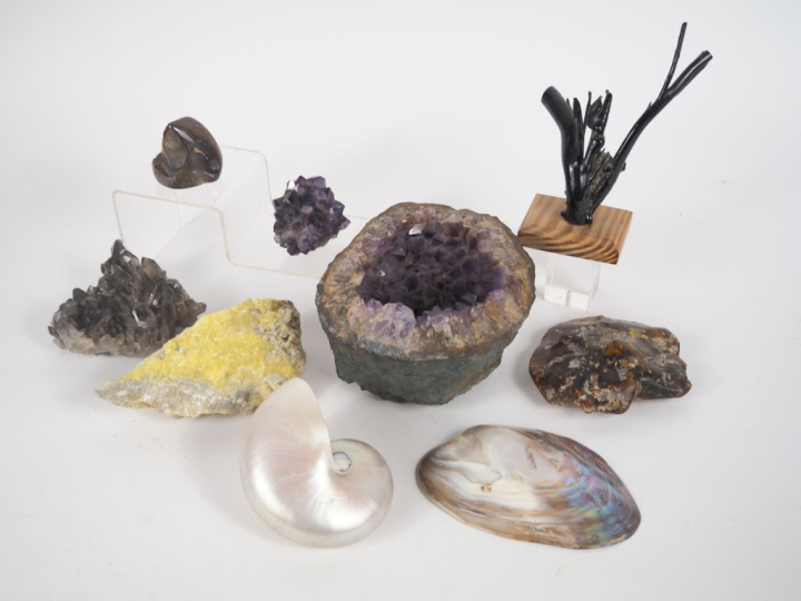 8 différents Quartz, coquillages et pierres dures.