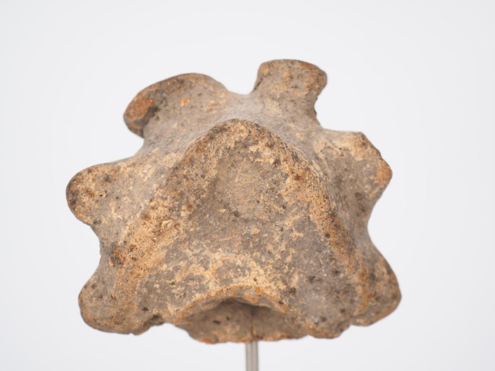 Antilles précolombiennes (V. 1000 apr. J.C). Deux têtes de figurines e