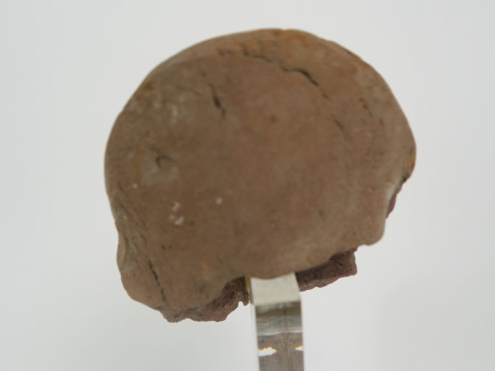 Égypte romaine. Tête de figurine du dieu taureau Apis avec l’uraeus et