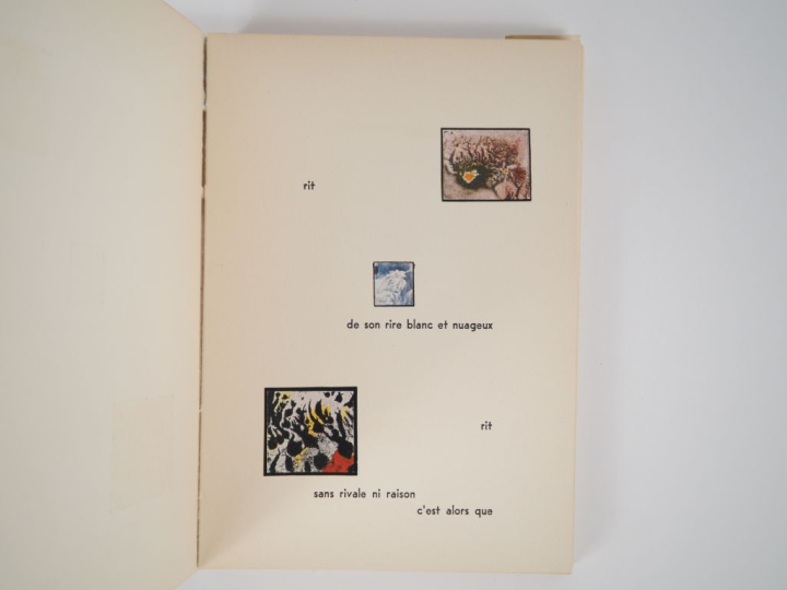 ERNST (M.). SEPT MICROBES vus à travers un tempérament. Paris, Cercle 