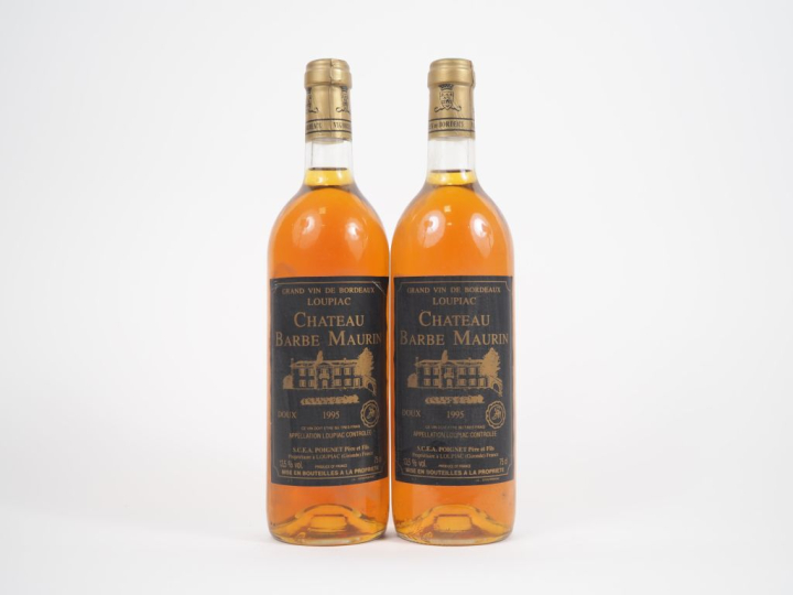2 BOUTEILLES CHÂTEAU BARBE MAURIN LOUPIAC - 1995