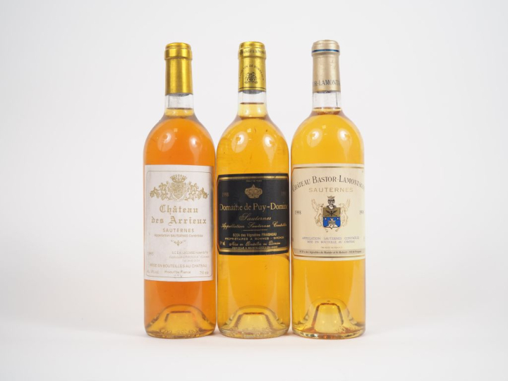 3 BOUTEILLES SAUTERNES : 1 CHÂTEAU DES ARRIEUX 1995/1 DOMAINE DU PUY D
