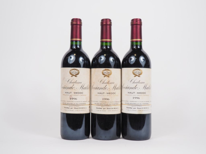 3 BOUTEILLES CHÂTEAU SOCIANDO MALLET HAUT MÉDOC - 1996 - 2 ETLS