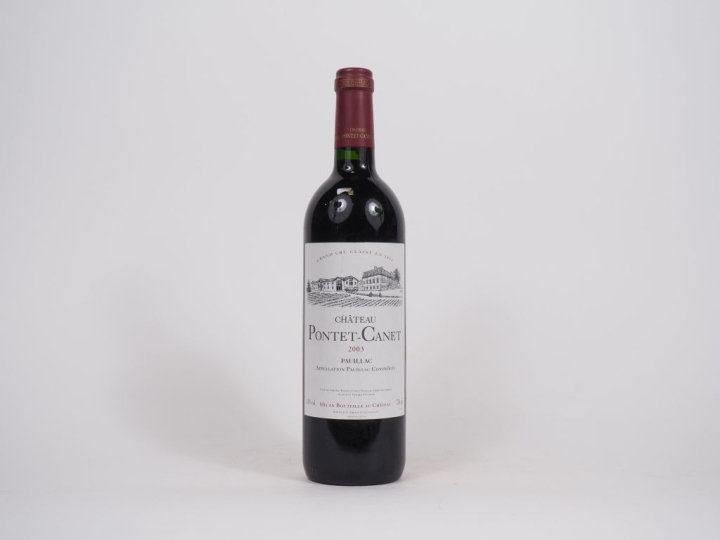 1 BOUTEILLE CHÂTEAU PONTET CANET GCC PAUILLAC - 2003
