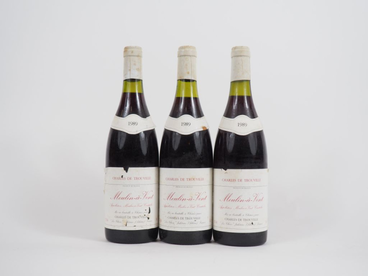 3 BOUTEILLES MOULIN A VENT CHARLES DE TROUVILLE - 1989 - 2 ETLA