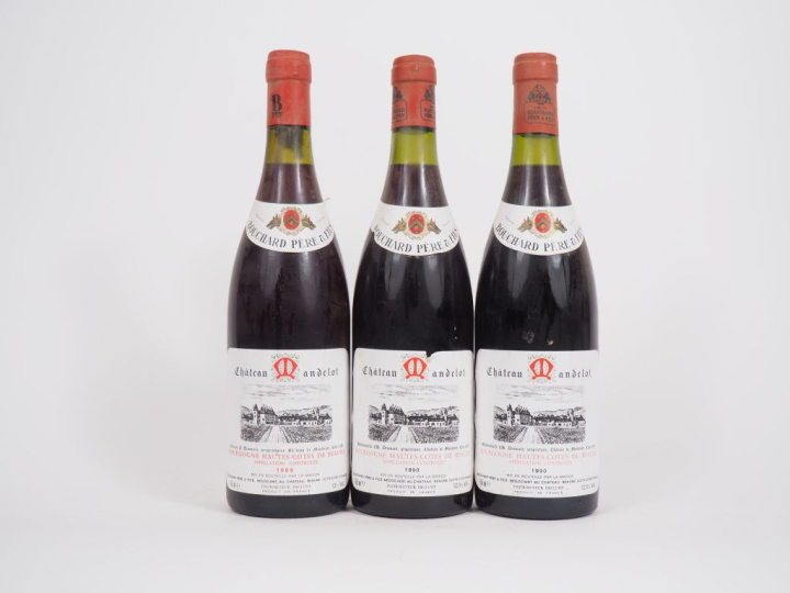 3 BOUTEILLES CHÂTEAU MANDELOT BOURGOGNE HAUTES COTES DE BEAUNE BOUCHAR