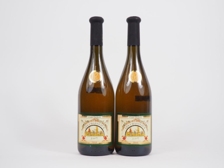 2 BOUTEILLES COULY DUTHEIL "LES CHANTEAUX" CHINON - 2010