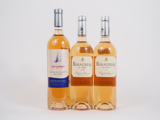 Vente aux enchères 3 BOUTEILLES CC CÔTES DE PROVENCE ROSÉ : 2 RIMAURESQ 2020/1 CHÂTEAU DU